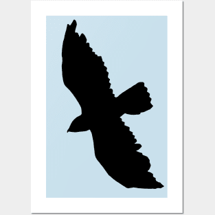 Red Tailed Hawk Silhouette Black Graphic Posters and Art